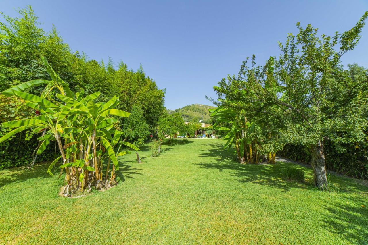 Villa Martin / Son Siurana Alcúdia Extérieur photo